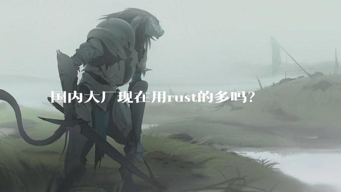 国内大厂现在用rust的多吗？