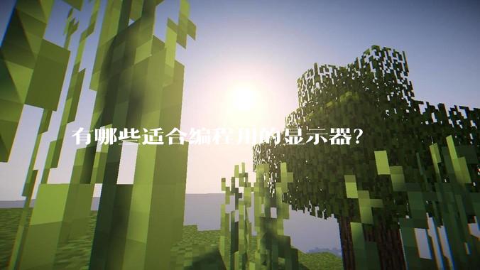 有哪些适合编程用的显示器？